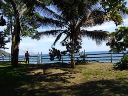 We did not find results for: Perfect Remote Getaway Review Of Eco Hotel Playas De Capurgana Capurgana Colombia Tripadvisor