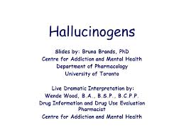 Hallucinogens Slides by: Bruna Brands, PhD