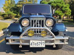 Image result for Touchan Blue 1993 SsangYong