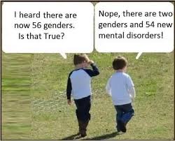 The 56 Genders Meme Realmanshow