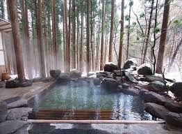 5cd25d242c218857218121d40ad2a001 Jpg 500 366 Outdoor Spa Outdoor Natural Pool