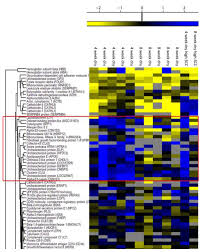 Alibaba.com brings you the most nutritious the. Dairy Free Full Text Influence Of Dry Period Length Of Swedish Dairy Cows On The Proteome Of Colostrum Html