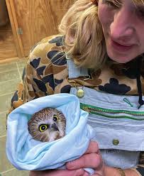 Tamarack Wildlife Newsletter_5.23_4