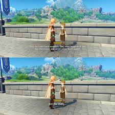 Sorry But The Pigeons Timmie Genshin Impact