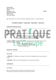 Vous pouvez télécharger gratuitement des images logo png avec fond transparent. Modele De Cv Pour Un Emploi De Vendeur Automobile Confirme Pratique Fr