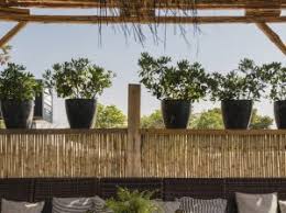 Το coyoacan playa δίνει ραντεβού αυτό το καλοκαίρι στη βάρκιζα, καλώντας μας να χαλαρώσουμε με βουτιές, καφέ ή φαγητό στην παραλία του varkiza resort. Summer Opening To Coyoacan Playa Katebainei Sth Barkiza Downtown Gr