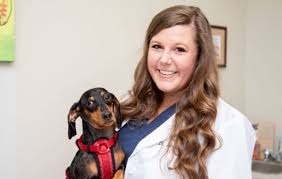 Pet owners bring their beloved animal family members to our family because the care given by our established team of friendly, compassionate and experienced veterinarians and support staff is second to none. Pet Owner Tips For Caring For Pets From Petvet Care Centers