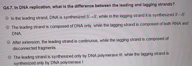 Lagging Strand Of Dna | Definition, Synthesis & Replication - Lesson |  Study.Com