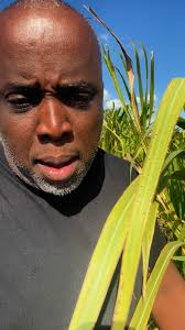 Evangelista Reynaldo Ubiera