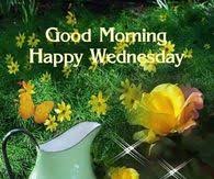 138 good morning happy wednesday quotes. Good Morning Wednesday Pictures Photos Images And Pics For Facebook Tumblr Pinterest And Twitter