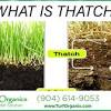 Rather than removing the biological material of the thatch, however, it would be better to hasten its decomposition and incorporation into the soil. Https Encrypted Tbn0 Gstatic Com Images Q Tbn And9gcrsnlzrxvcflfruiy9xpkyhsbz1zy7nwkcq6l2lrdyojg255teg Usqp Cau