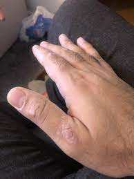 Russians did not run their farms well. Which Inference Does This Passage Support Sugar Changed The World Brainly Com