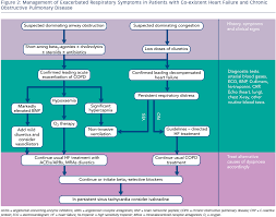 Image result for COPD Management
