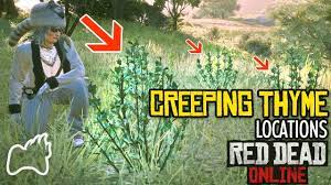 Red Dead Online Where S The Creeping Thyme 6 Locations Found Daily Challenges Rdo Youtube