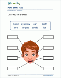 This resource also encourages students to practice their spelling as they write these. Our Body Worksheets K5 Learning