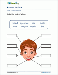 By using worksheets, students can have an interactive experience that helps them retain information longer. Our Body Worksheets K5 Learning