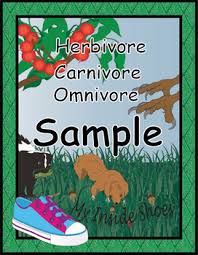 Herbivore Carnivore Or Omnivore