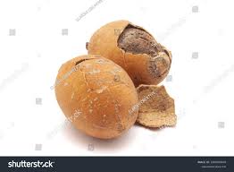 Image result for Balanites aegyptiaca