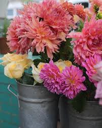 If It Can T Be Peonies Make It Dahlias Wildatheart Nottinghill London England Uk Londonispink Londoninbloom Flowers Europe Dahlia Peonies Canning