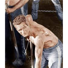 Cool Hand Luke Paul Newman 1967 Photo Print, 16 x 20 - Large - Walmart.com