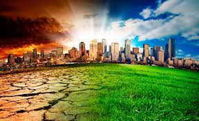 Consideraciones para una evaluación de impacto del turismo de
naturaleza