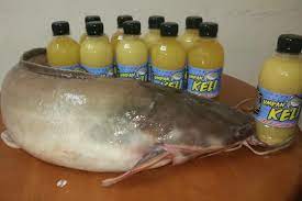 15 umpan ikan bawal harian paling jitu dan ampuh recommended. Umpan Ikan Keli Startseite Facebook
