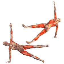Side Plank Pose Left Leg Up Vasisthasana Leg Up Left Yoga Poses Yoga Com Yoga Anatomy Yoga Muscles Yoga Asanas