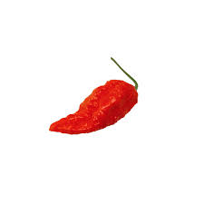 Maybe you would like to learn more about one of these? Peperoncino Fatalii Jigsaw Gourmet Fresco Assopepper