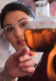 Secondary School Guide 2016-17