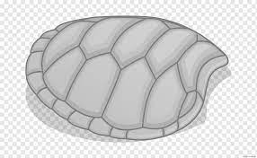 Draw the head angled below. Sea Turtle Reptile Green Sea Turtle Tortoise Turtle Shell Loggerhead Sea Turtle Black And White Drawing Turtle Reptile Green Sea Turtle Png Pngwing