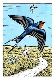 Black Bird With White Chest Colorado River Of Contrasts The Texas Colorado Artwork Gallery Art Bird Art Artwork