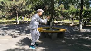 The fans went crazy in the crowd when she only scored 10 points across the board for her incredible leap in the second round, but kuan's face said otherwise. Xing Yi Quan Master Wang Hongchang Splitting Fist Variants In Hidden Power Level Youtube