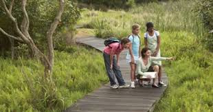 Six Outdoor Education Resources For Parents Outdoor Education Summer Programs For Kids Outdoor Learning