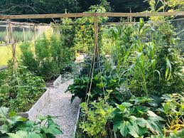 Compost is fertilizer, mulch and weed preventer, all in one. 5 Simple Steps For Starting An Organic Veggie Garden Green America