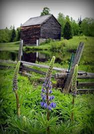 Oh Montana I Miss You The Wildness The Country Lanes The Mountain Trails The Desserted Cabins So So Beautiful Country Barns Old Barns Farm Barn