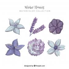 Let a be dominant allele and a recessive allele. Purple Flowers Free Vector Graphics Everypixel