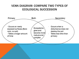 63 Proper Flow Chart Primary Succession And Secondary Succession