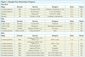 Selecting The Right Vaccine National Hog Farmer