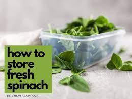 How To Store Spinach Best Way To Store Fresh Spinach To Keep It Crisp