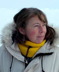 Chukchi Ecosystem Observatory