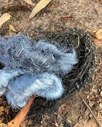 Image result for Indigofera dyeri