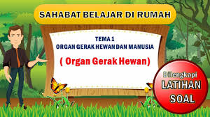 Adik adik kakak ataupun teman teman pembaca bisa membagikan halaman ini atau menyimpan halaman simplenews.me. Media Pembelajaran Organ Gerak Hewan Kelas 5 Tema 1 Youtube