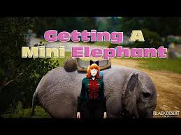 They are one of two types of mounts that can travel in the desert, the only other mount being the elephant. Bdo Getting A Mini Elephant Quest Guide 2018 Youtube