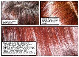 The 10 best henna hair dyes. Pure Henna Powder Hair Color Reviews Makeupalley