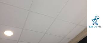 Ce plafond artificiel est facile à réaliser, à condition de suivre scrupuleusement les instructions. Cout D Un Faux Plafond Au M2 En Tunisie Trouvez Comparez Realisez