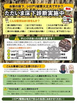 外壁と合わせて見落としがちな床下のシロアリ・湿気対策（AI 生成）