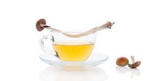 The effects take about 30 to 45 minutes to start, reach a maximum in about 90 minutes and can last up to 6 hours. How Long Does A Shroom Tea Trip Last Cbd Shrooms