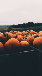Pin By Grace Rumbaut On Fall Vibes Fall Wallpaper Iphone Wallpaper Fall Pumpkin Wallpaper