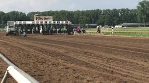 Sam houston race park is set to host two nights of exotic animal racing this weekend, with appearances by celebrity camel trainers. Ellis Park Hosts Annual Ostrich And Camel Races In Henderson