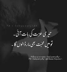 Ayse Bhi Log Hoty Hain Poetry Words Urdu Poetry Romantic Urdu Words